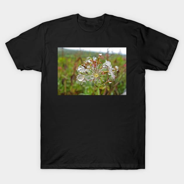 An Explosion of Dew T-Shirt by EileenMcVey